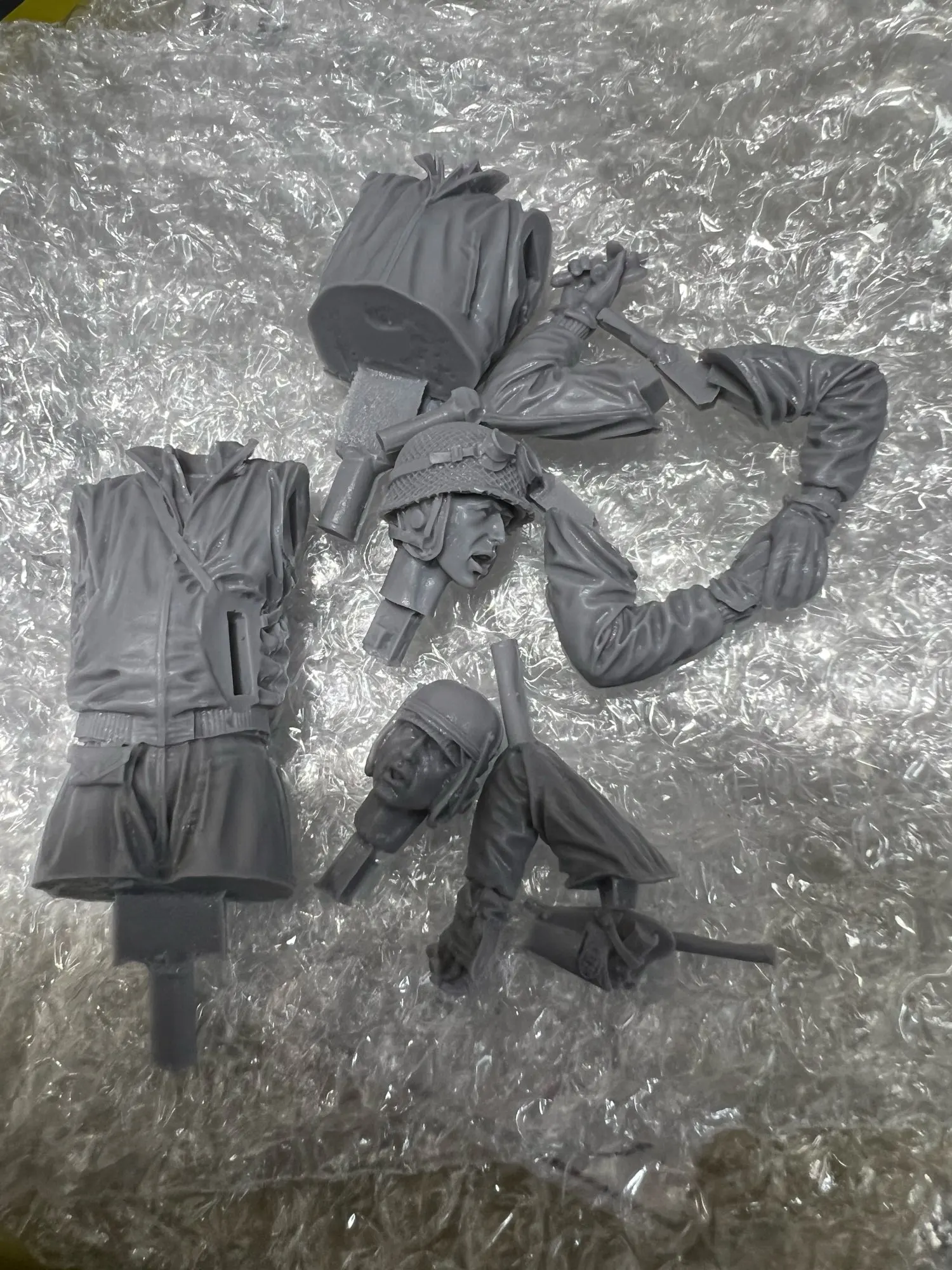 Buyer photo of this resin kit