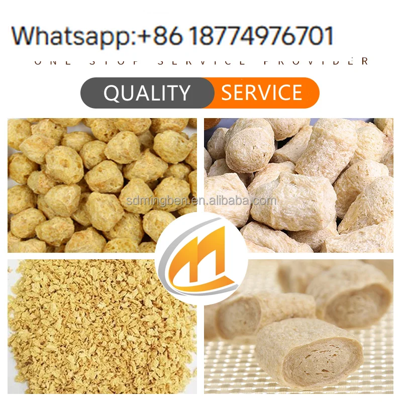

Manufacturer-Supplied Tissue Protein Production Line Equipment Soybean Meal Extruder with Motor for Protein Bean Application
