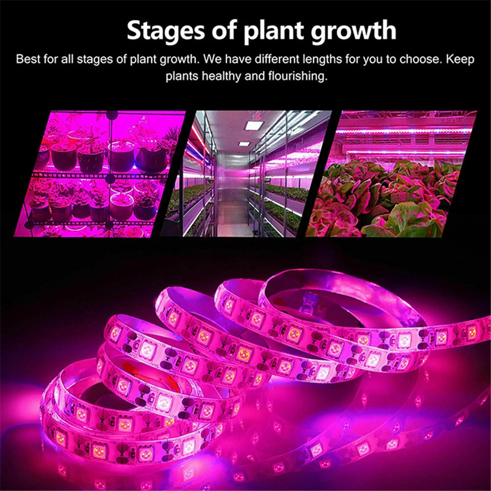 SOMYMORE Full Spectrum LED Plant Grow Lights Strip Phyto Lamp For Plant Flowers Crops Hydroponics Growing System Lamp Strip