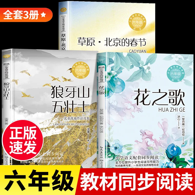 

Песня цветов весеннего фестиваля на лугах Пекина: обязательная к прочтению внеклассная книга для 6 класса, том 1