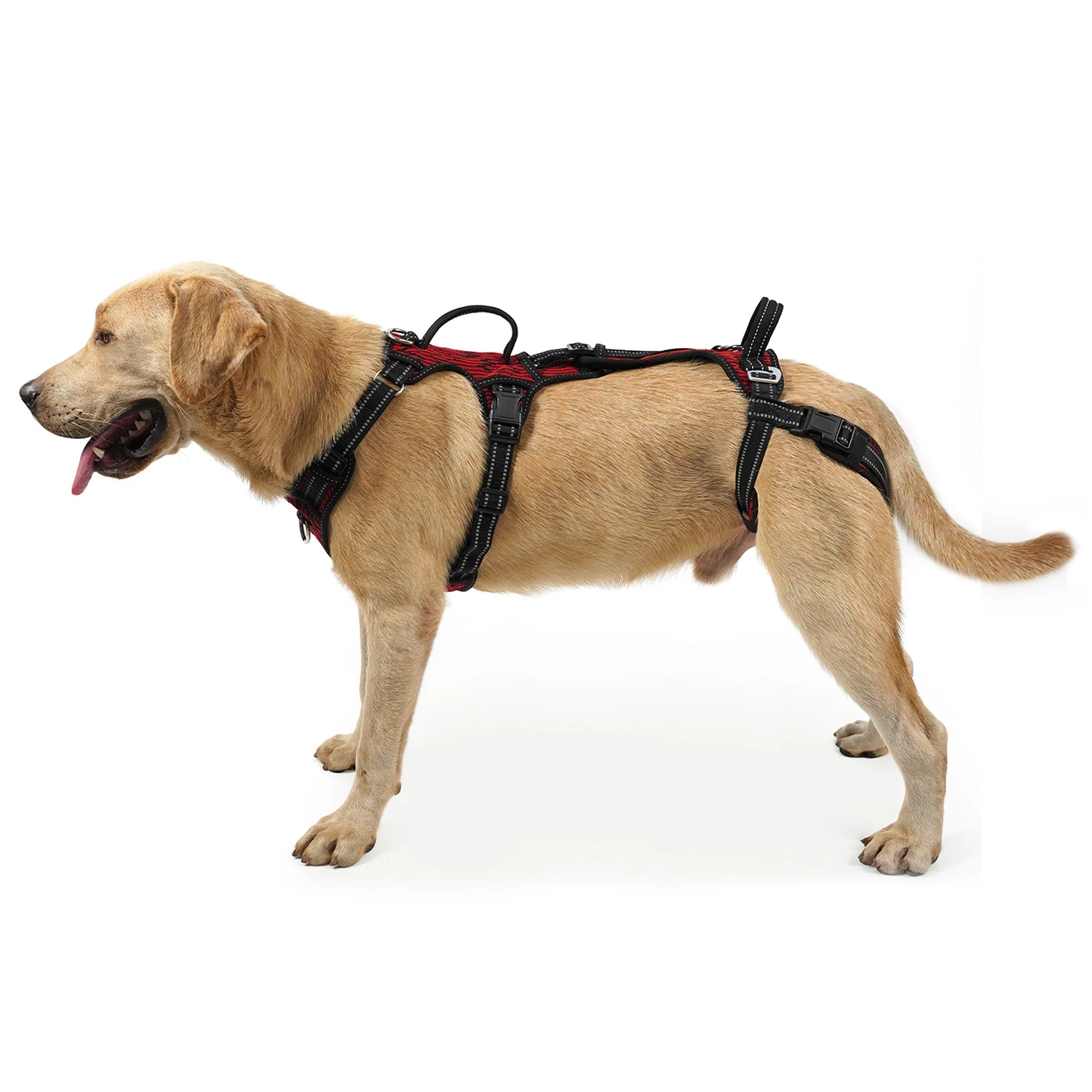 Mobility Dog Lift Harness, Support Sling & Walking Sling for Dogs, Pet Rear Leg Rehabilitation Support Vest, Dog Carrier