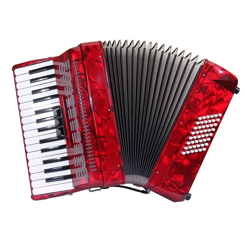 OEM High Quality Professional 30 Keys 48 Bass 3 Registers Red Blue Celluloid Wood Portable Piano Keyboard Accordion Chromatic view 2