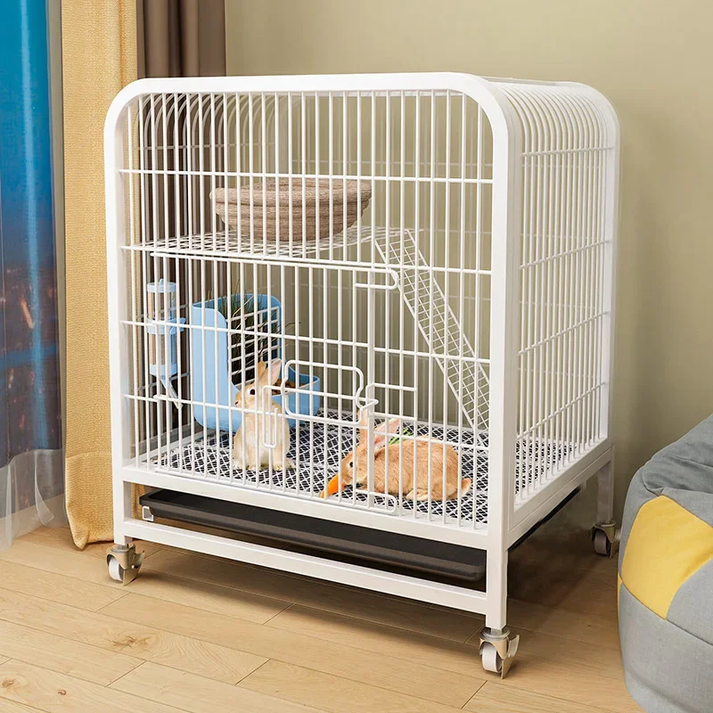 

Rabbit cages are not protected at home...