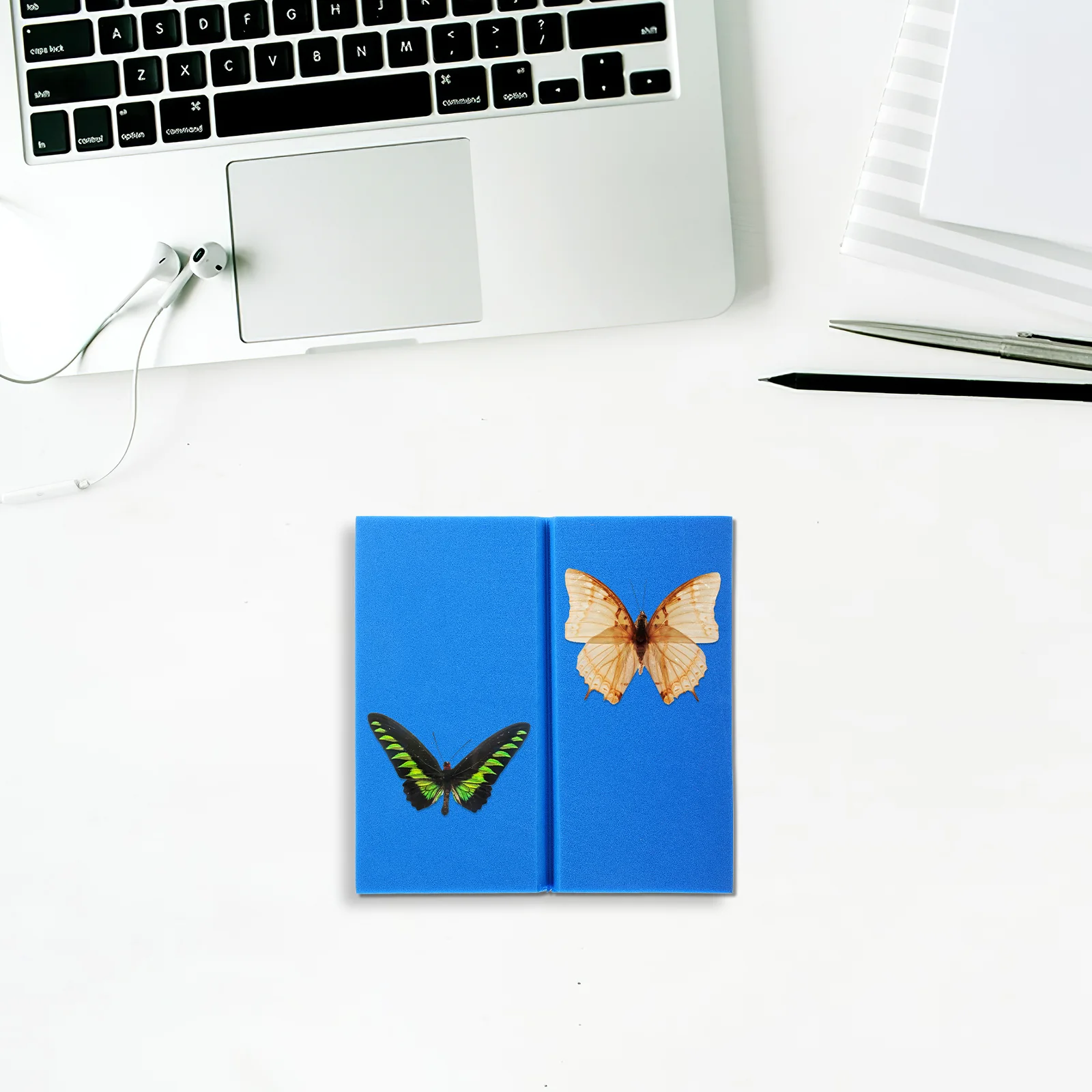 Display Case Posture Table Butterfly Specimen Insect Mounting Spreading Board Professional Pinning Kit Blue Tool