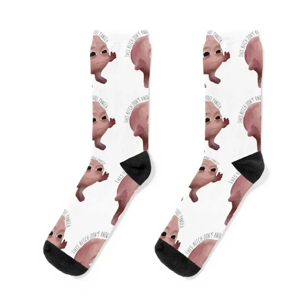 

This b*tch don’t know bout pangea Socks Wholesale retro Stockings compression Argentina Male Socks Women's