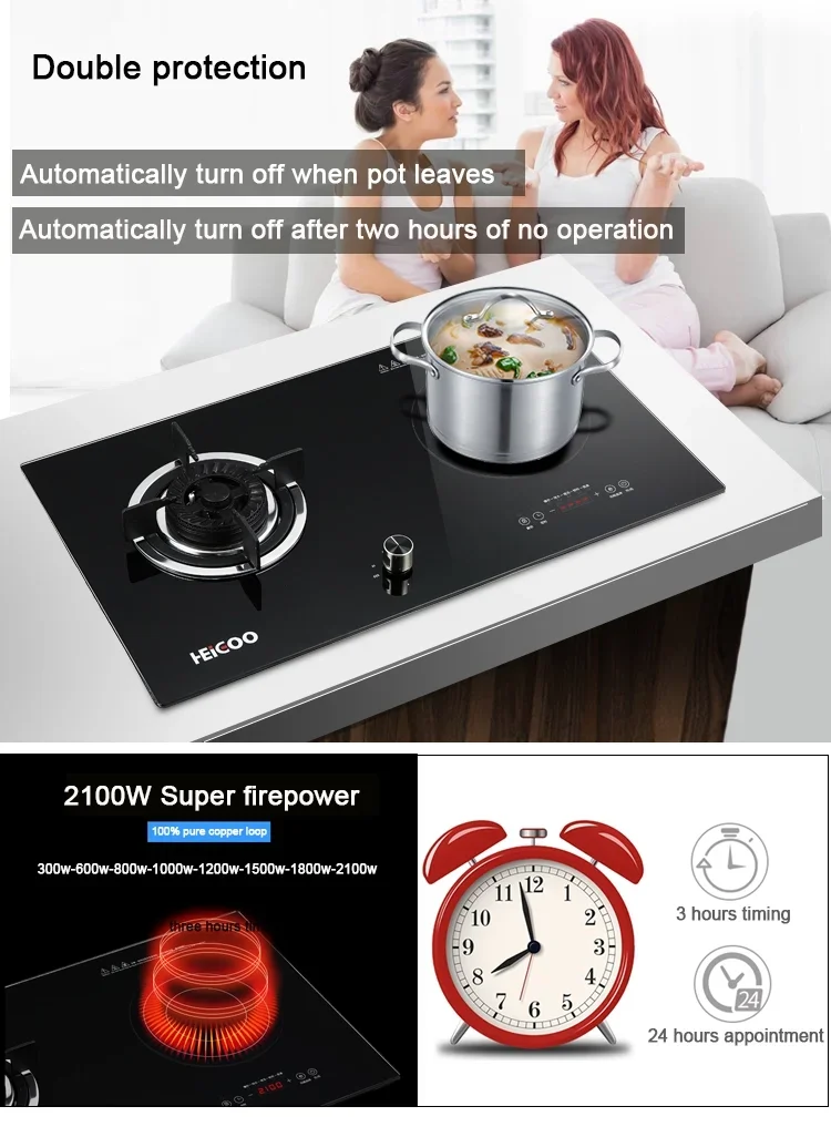 2 Burners Built-in and Countertop Electric Induction Cooker and Gas Stove