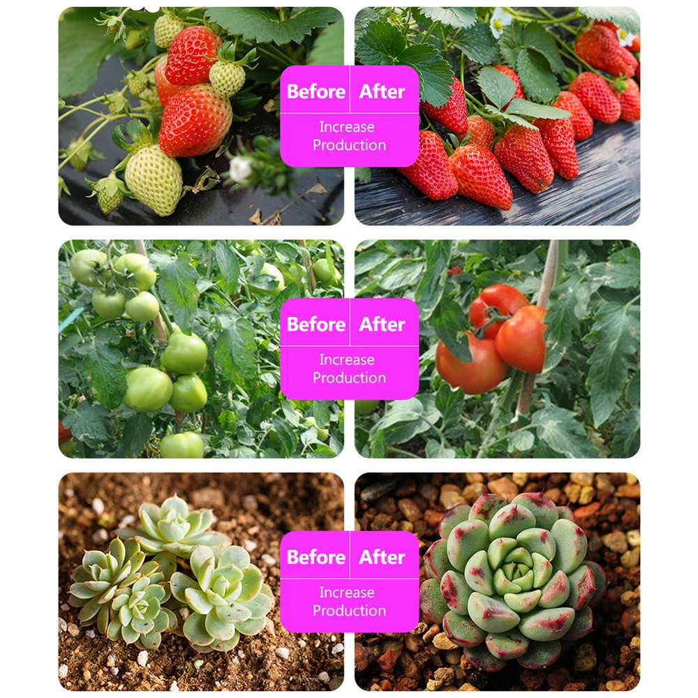 5 متر زهرة البذور المائية ضوء الطيف الكامل زهرة النبات فيتو النمو مصباح تيار مستمر 5 فولت 5 واط للنباتات نظام زراعة الزراعة المائية