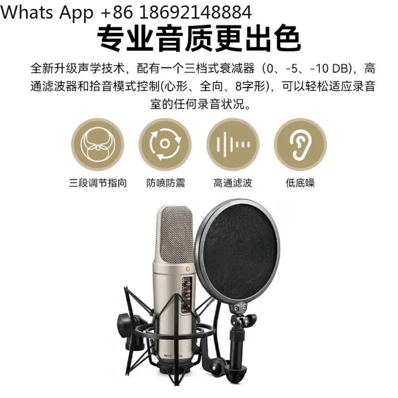 Spot NT2-A large diaphragm multi-point radio mode professional recording condenser microphone