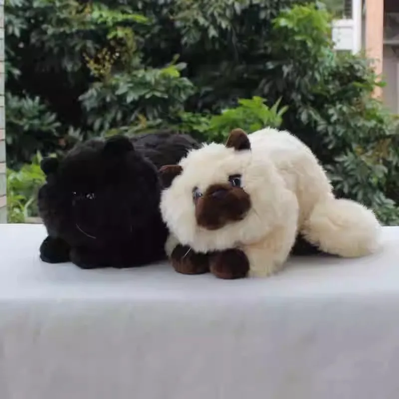 

Simulation Persian Cat Doll Pet Anmals Cats Doll Cute Himalayan Cat Plush Toy Gift 30cm DY10364