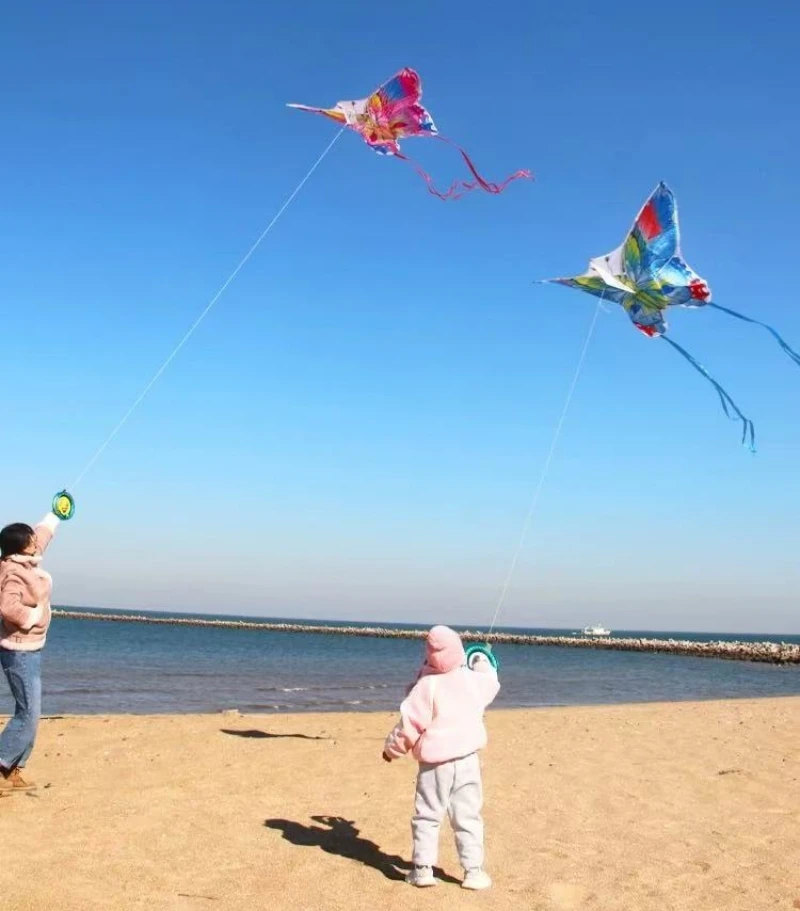 ผีเสื้อที่มีสีสัน kites บินของเล่นกลางแจ้งเกมกีฬาสัตว์ kite professional wind kites sting line dragon kites โรงงาน koi