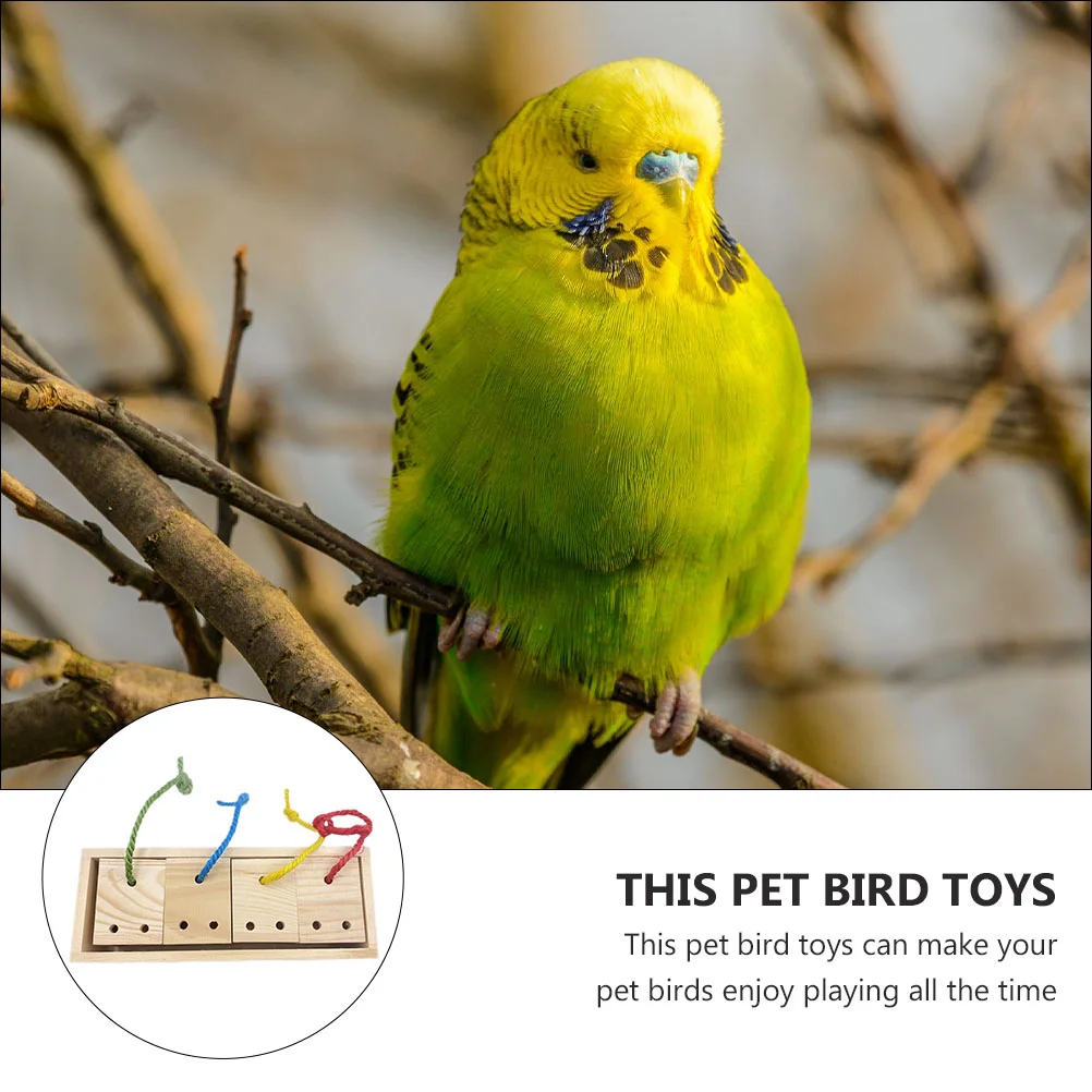 Creative Pet Bird Feeding Toy Wooden Parrot Foraging Feeder Chewing Toy parrot feeder bird chew toy pet toy