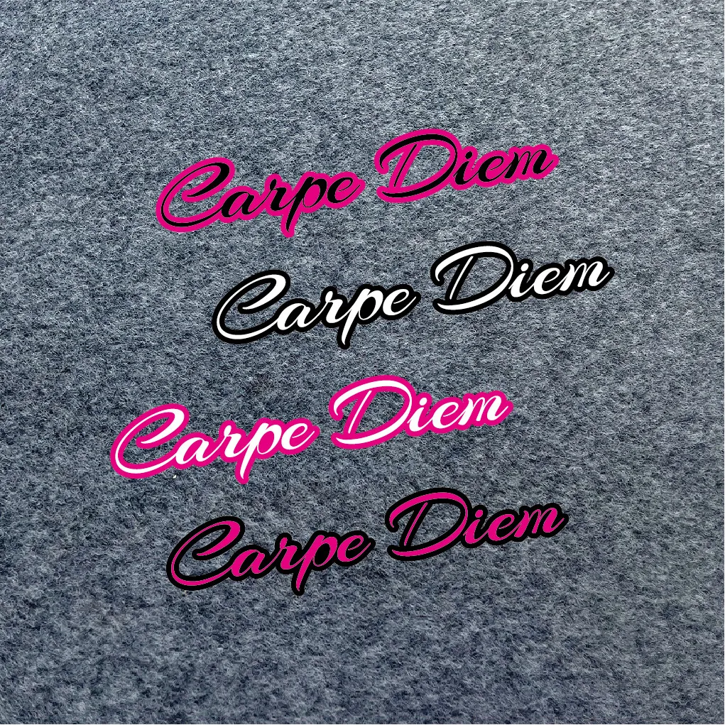 Carpe Diem Cursive Waterproof Vinyl Inspirational Decal in Pink/Black/White for Car, Laptop, Motorcycle & Water Bottle