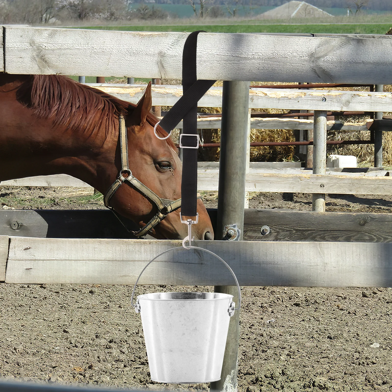 4pcs Adjustable Nylon Straps Horse Water Bucket Strap Durable Strong Secure Hold For Outdoor Feeding Bucket Hangers Horse Stall