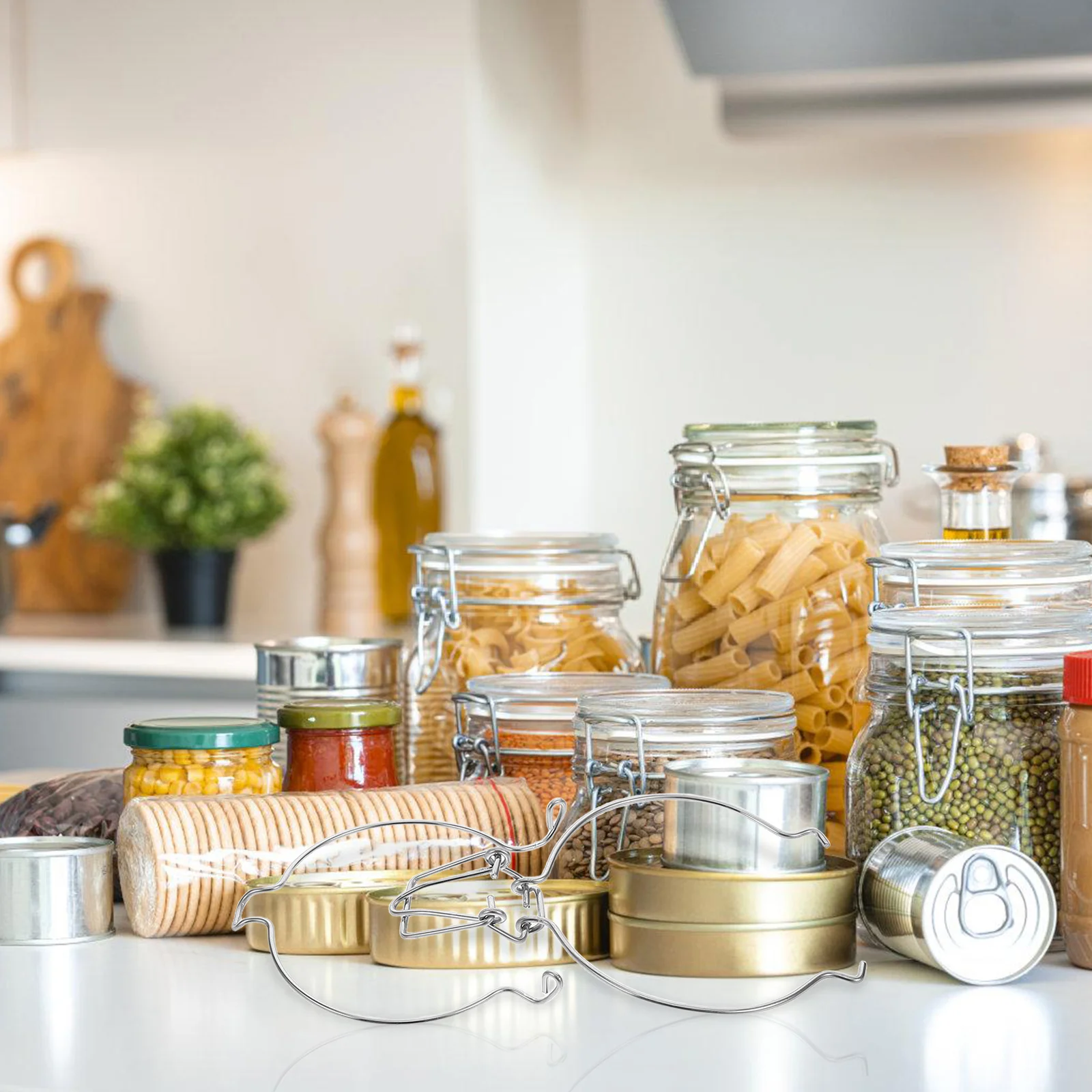 

10Pcs Replacement Wire Clamps for Jars Stainless Steel Sealing Buckle Airtight Spring Design Easy Opening and Closing