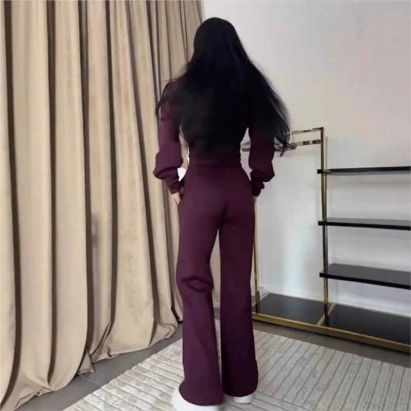 Spring Autumn Short Zipper Hooded Tops Women\'s Suit Solid Color Fashion Slim Simple Elegant Female Sweatpants 2 Piece Set 2025