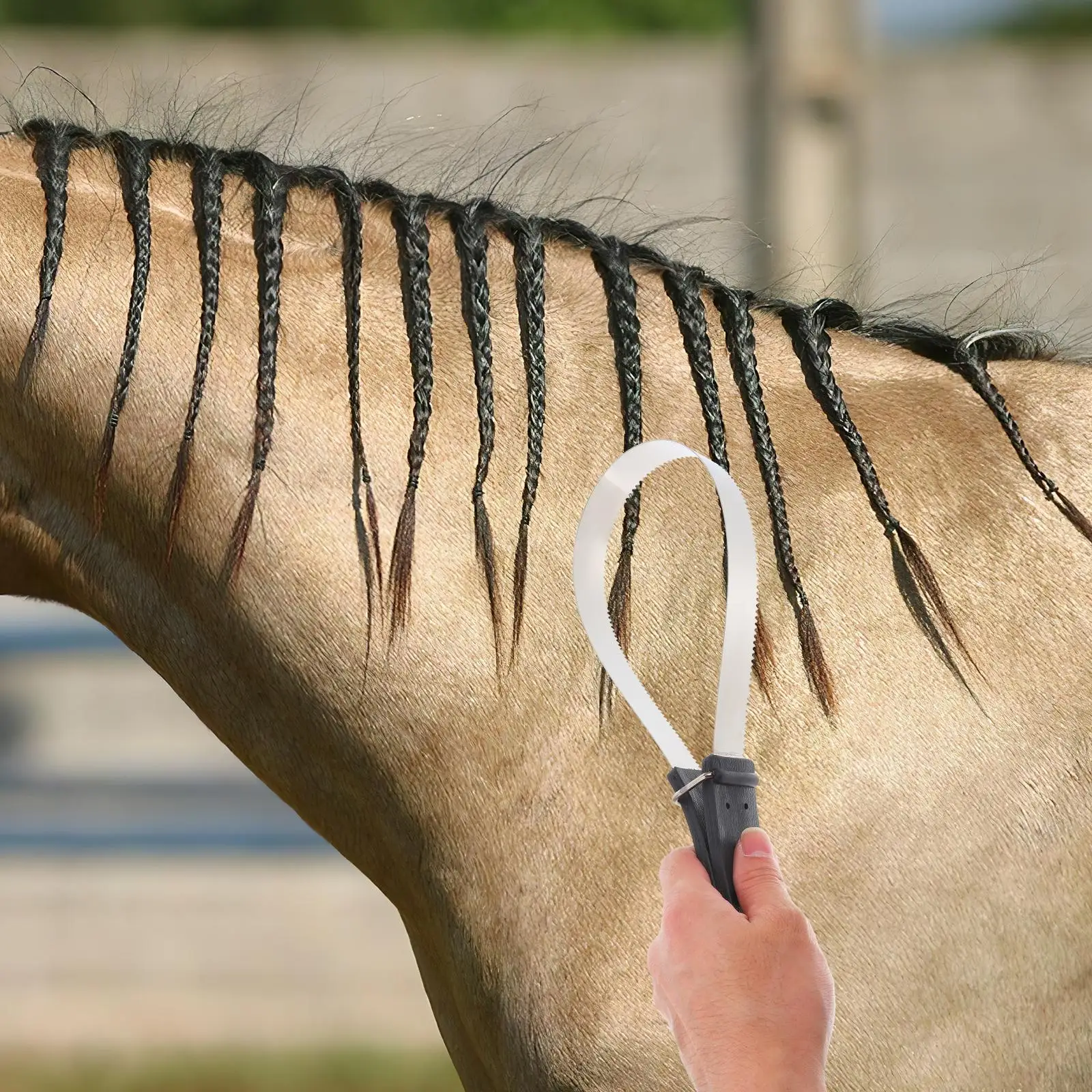 อุปกรณ์ขี่ม้าขี่ม้าแปรงม้า De Shedding Scraper ถุงมือสุนัขใบมีดสแตนเลสกําจัดขนสําหรับทําความสะอาด