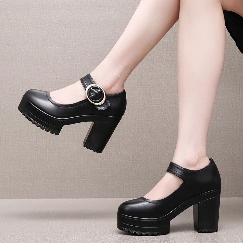 

6cm 8cm 10cm Small Big Size 33-43 Shallow Genuine Leather Shoes Platform Mary Janes 2026 Spring Block Heel Shoes Office Dress
