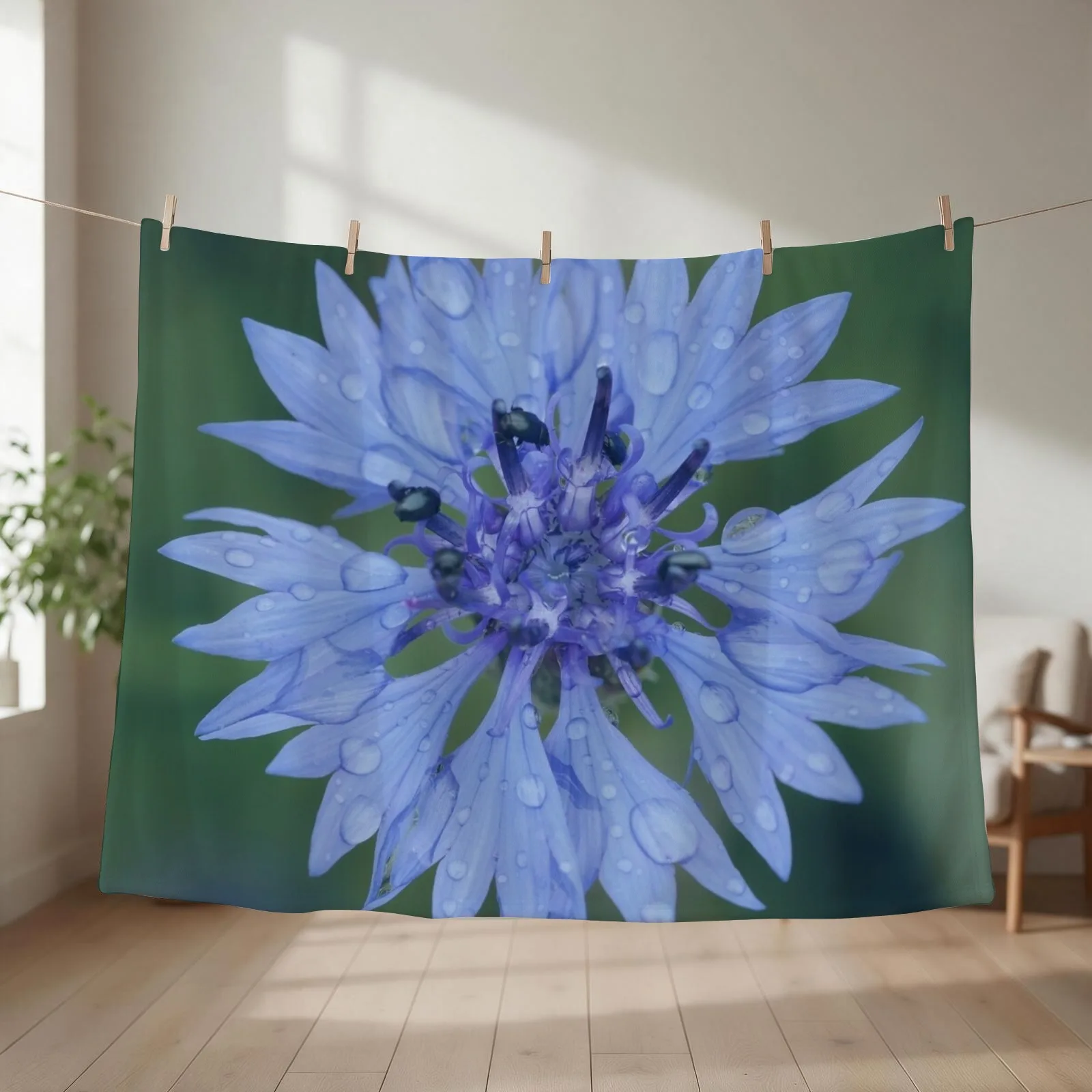 Cornflower blossom cornflower blue raindrop wet flower blue Throw Blanket couch cozy soft plush fuzzy picnic outdoor blanket
