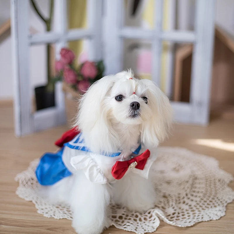 Imagem -02 - Vestido de Verão Sailor Moon para Cão e Gato Peluche Roupas Pet Filhote de Cachorro Pomeranian Yorkshire Chihuahua Bichon 2024