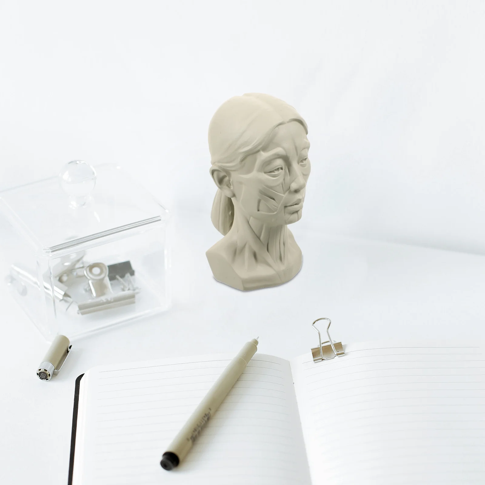 Sketch Avatar Teaching Aids Skull Sculpture Model Mold Resin Practice Home Adornment Drawing