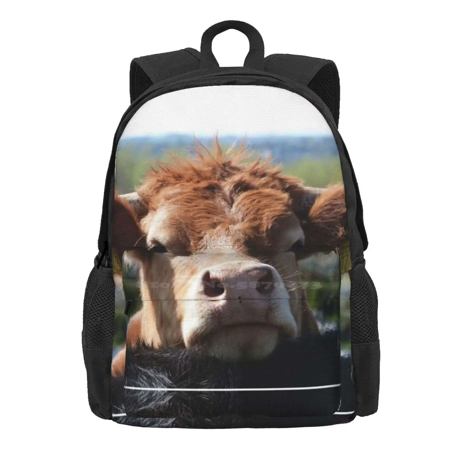 Chin Up, Cow Hot Sale Schoolbag Backpack Fashion Bags Nature Animals Cows Farming Ginger Cow Friendship Black Cow Northern