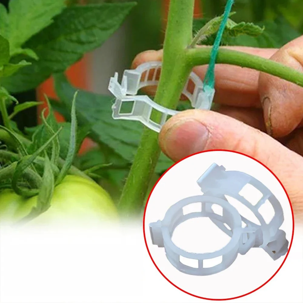 50/100/200Pcs Plastic Support Clips Reusable Plant Vine Protection Grafting Fixing Tool for Vegetable Tomato Garden Supplies