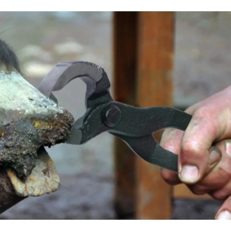 Hoof trimming box for cattle,  hoof trimmer, cutter for cattle, horses and sheep,  animal husbandry accessories 1pcs