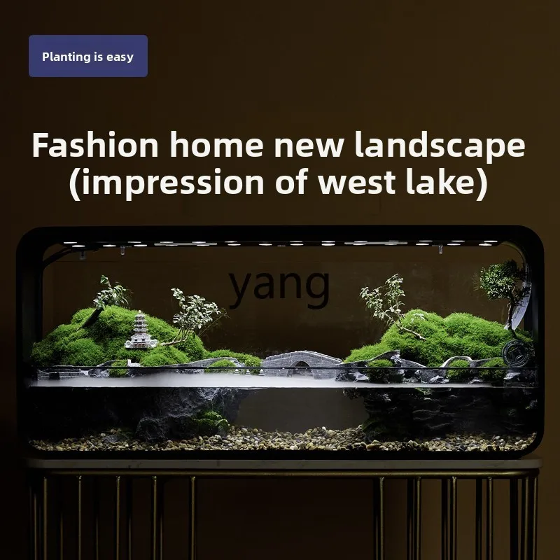 CX intelligent land and water rainforest ecological fish tank micro-landscape living room large glass plant landscaping