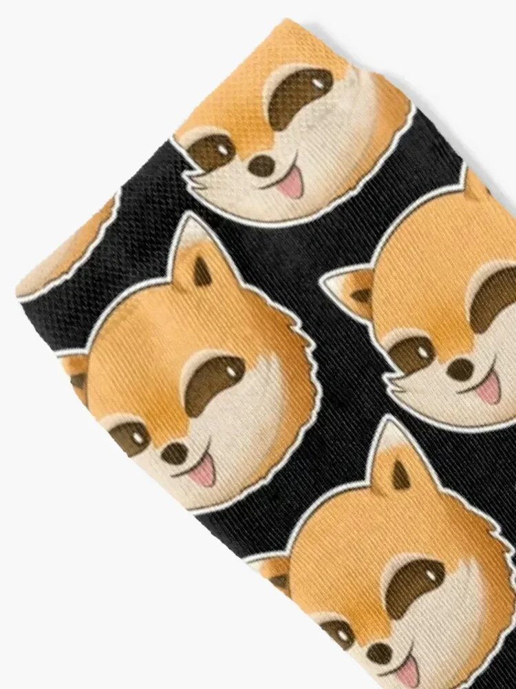 Project Zomboid Spiffo Raccoon Socks sports and leisure gym Socks For Girls Men's