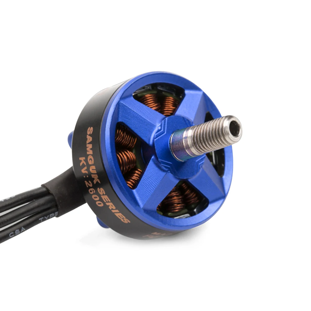 Dys Samguk Serie Wei 2207 Motore Brushless RC 1750KV 2300KV 2600KV 3-6S Per UAV FPV Racing Multi Wing Aircraft Crossing Machine