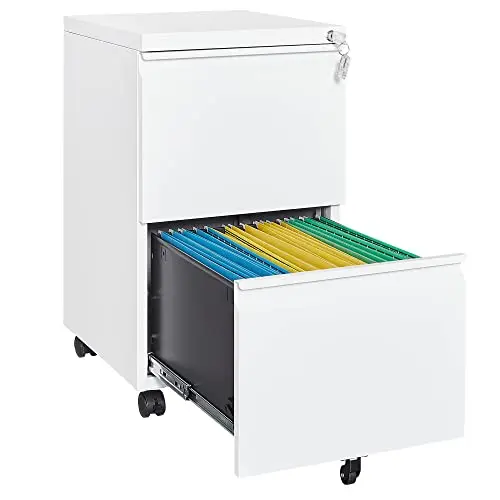 Mobile File Cabinet with Lock,2 Drawer Under Desk Metal Rolling Filing Cabinets for Home Office Organizer