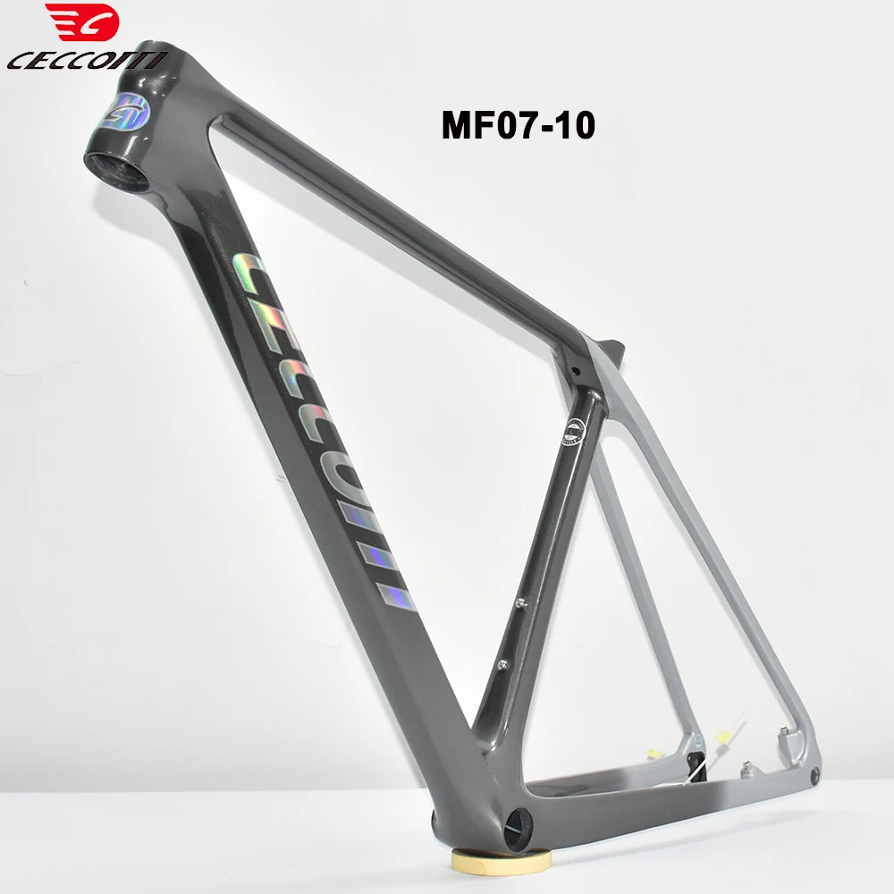 T1000 Full Carbon 29er MTB Frame Full Inner Cable Design Mountain Bicycle Farmes