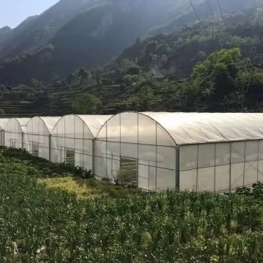 

Customized greenhouseCommercial Use Cheap Large Multispan Greenhouse Film Covering Growing Flowers Vegetables Fruits