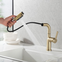 Brushed Gold Stainless Steel Three-Mode Pull-Out Kitchen Faucet 360-Degree Swivel Basin Bathroom Hot/Cold Water Faucet