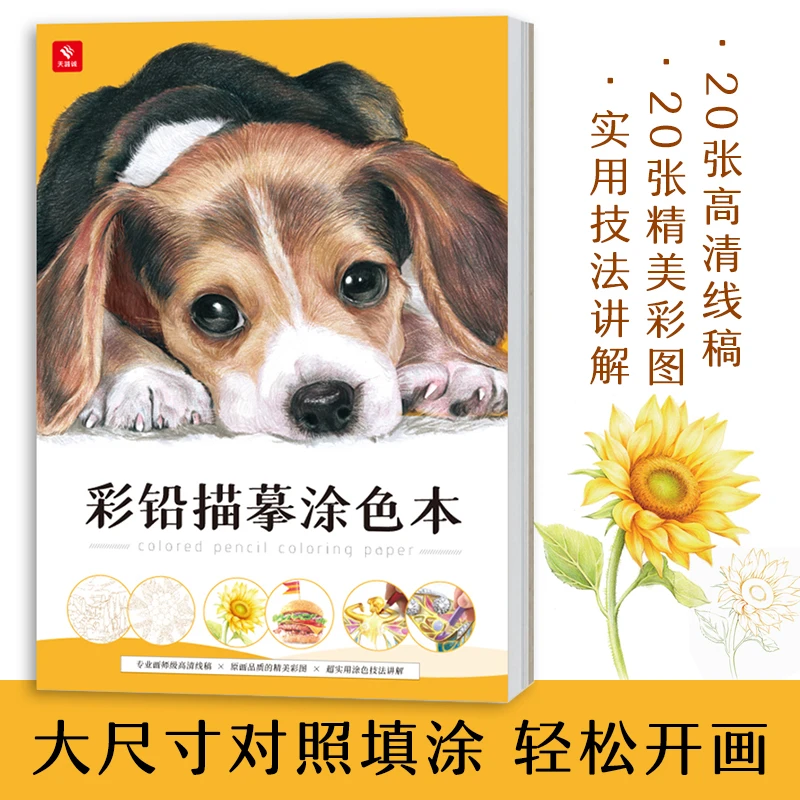 New Animal Plant Food Series Color Pencil Tracing Painting Book Sketch Copy Album Line Draft Practice Coloring Books