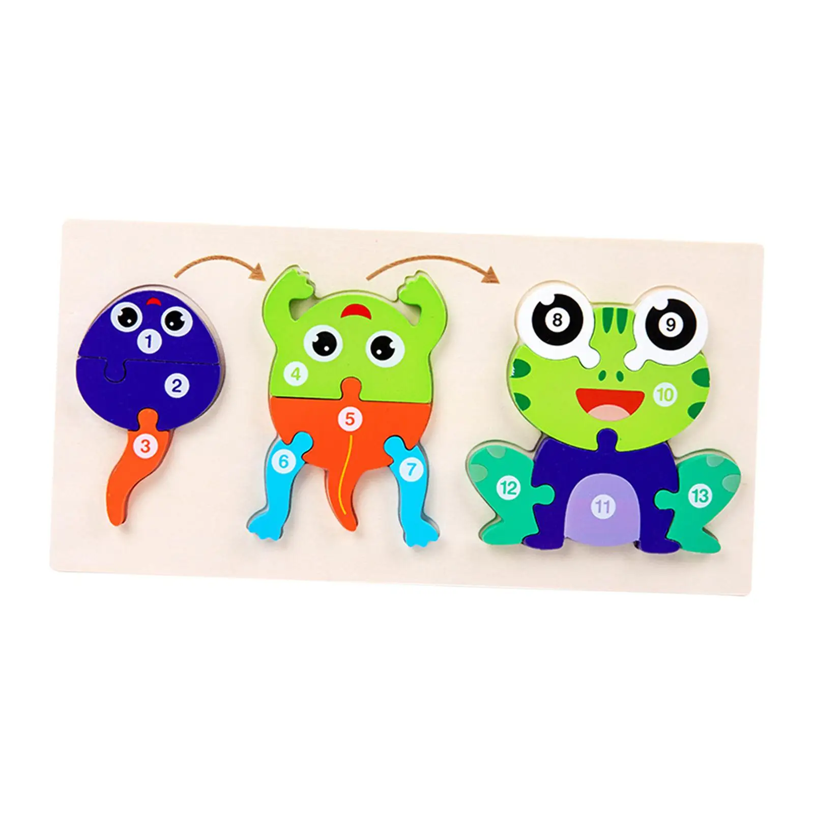 Wooden Animal Life Cycle Puzzle Animal Recognition Brain Development Motor Skill for Toddler Birthday Gift Early Educational Toy