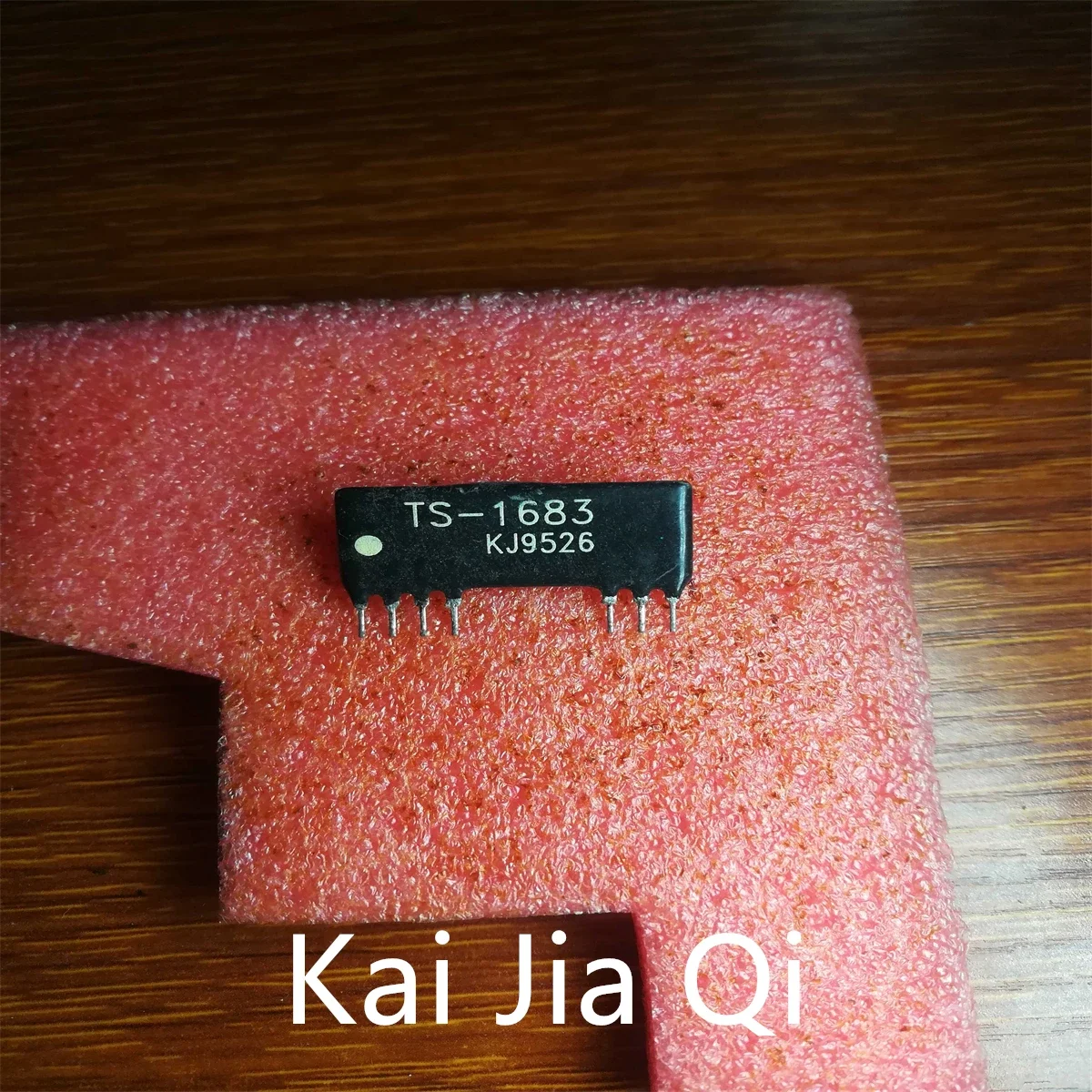 Chip CI TS-1683