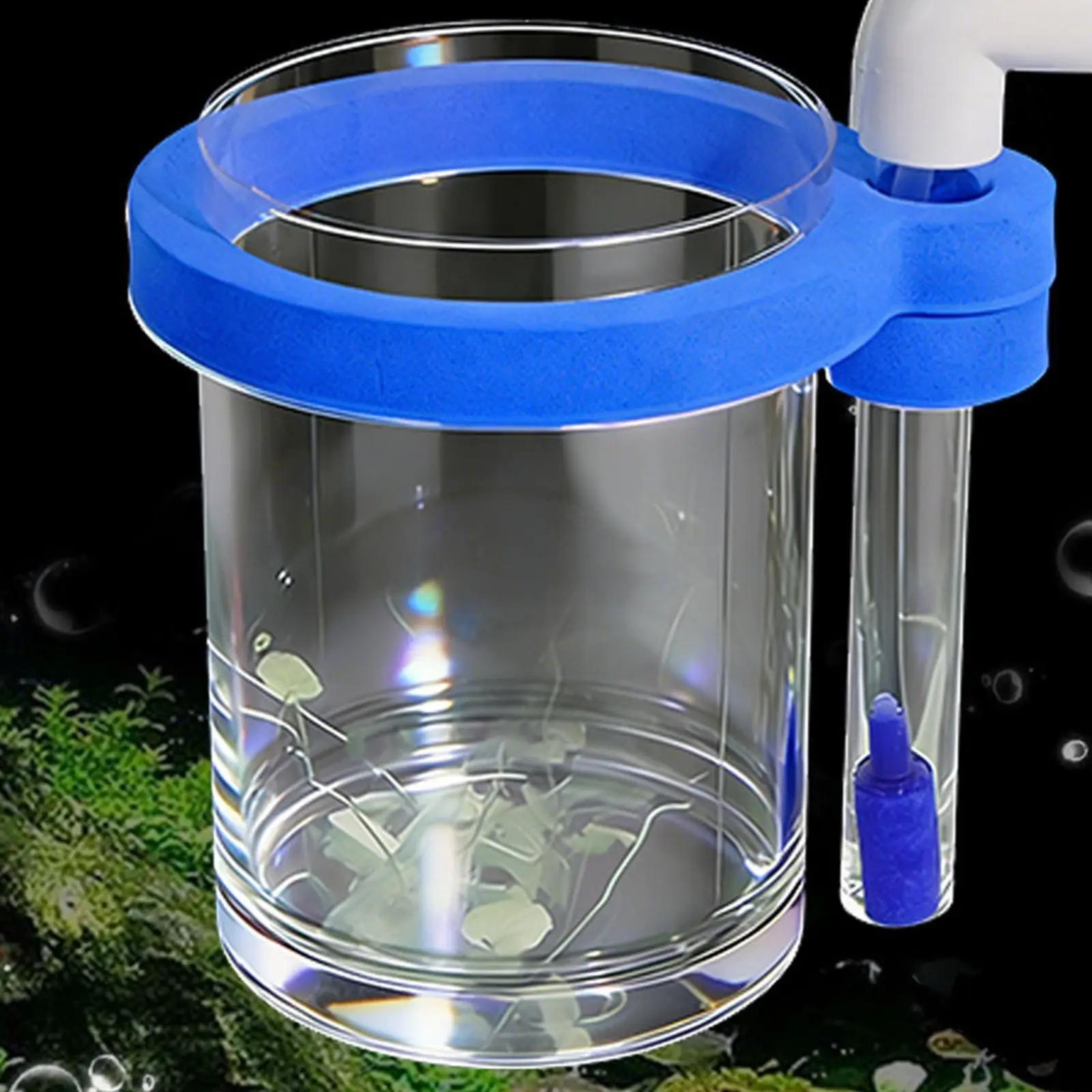 Aquarium Fish Breed…