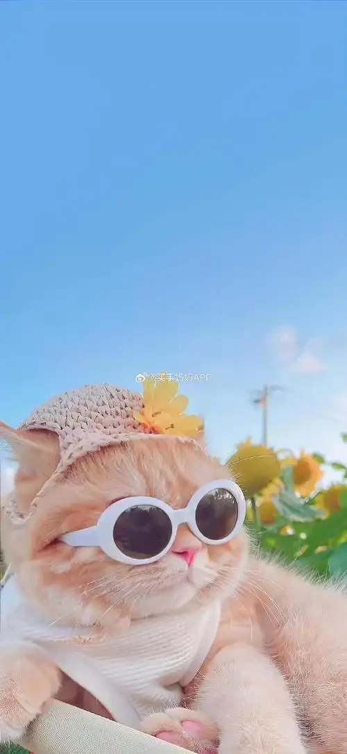 Car Glasses Case Ho…