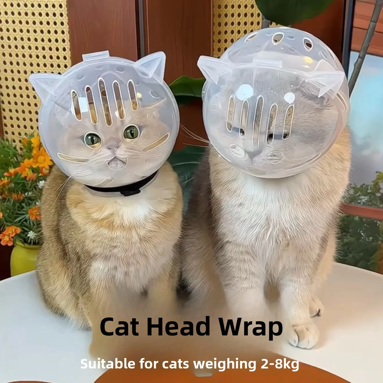 Pet  Head Cover Ball aped Nail Clipper Medicine Appliion Space Helmet Elizabeth Circle for s Dog Home Supplies