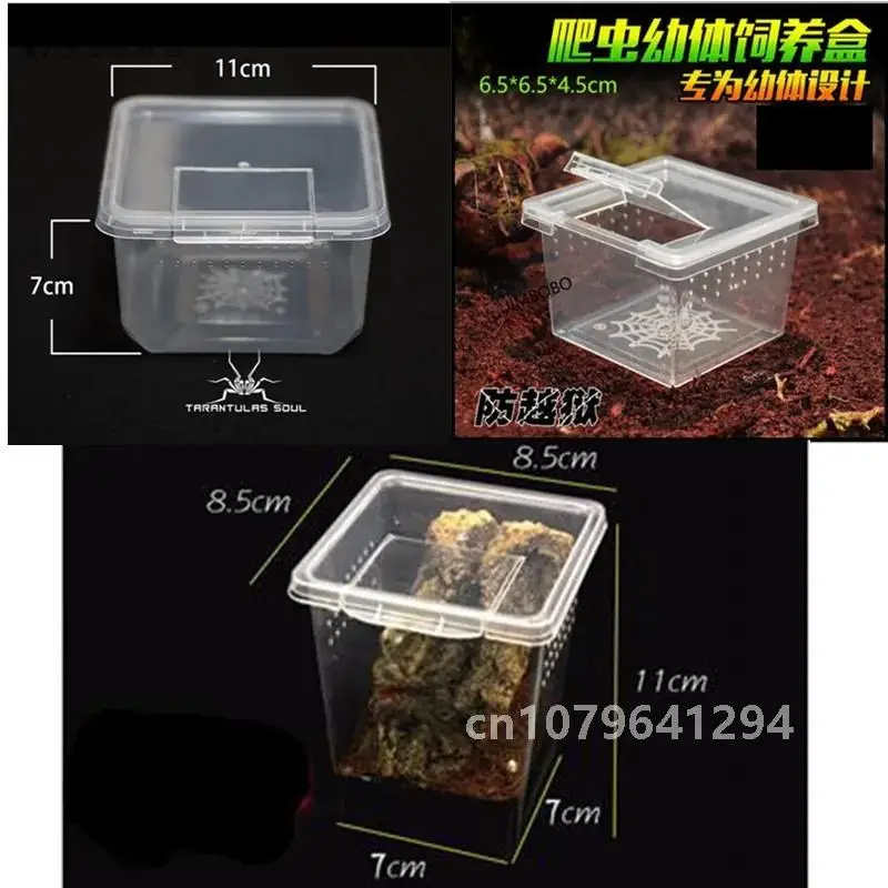 33/10/7PC of reptile feeding box spider larva transparent plastic feeding box insect breeding container to prevent prison break