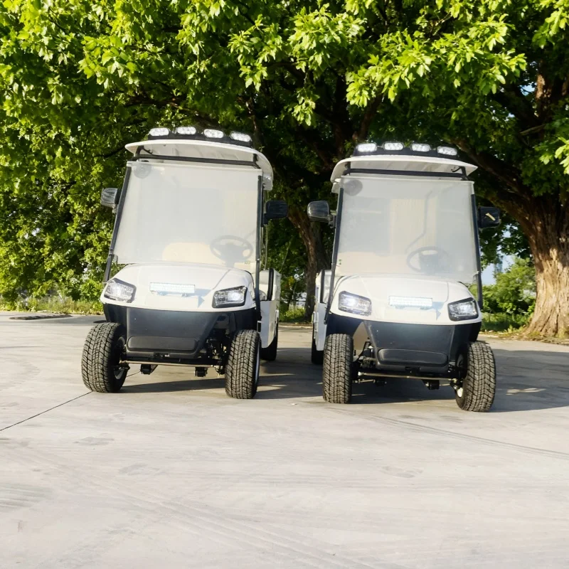 رائجة البيع بطارية ليثيوم الكبار سكوتر على الطرق الوعرة شاطئ عربة جولف كهربائية عربات التي تجرها الدواب مع صندوق البضائع الخلفية عربة البضائع القابلة للتحويل