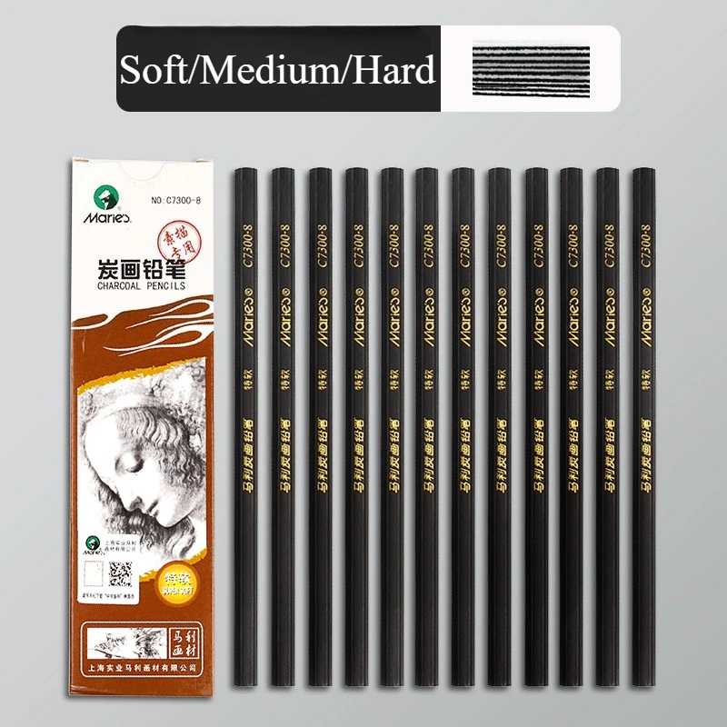 

Профессиональные угольные карандаши, набор для рисования, эскизов, растушевки, 10/12 шт., деревянные EX-мягкие средние и твердые карандаши для художников