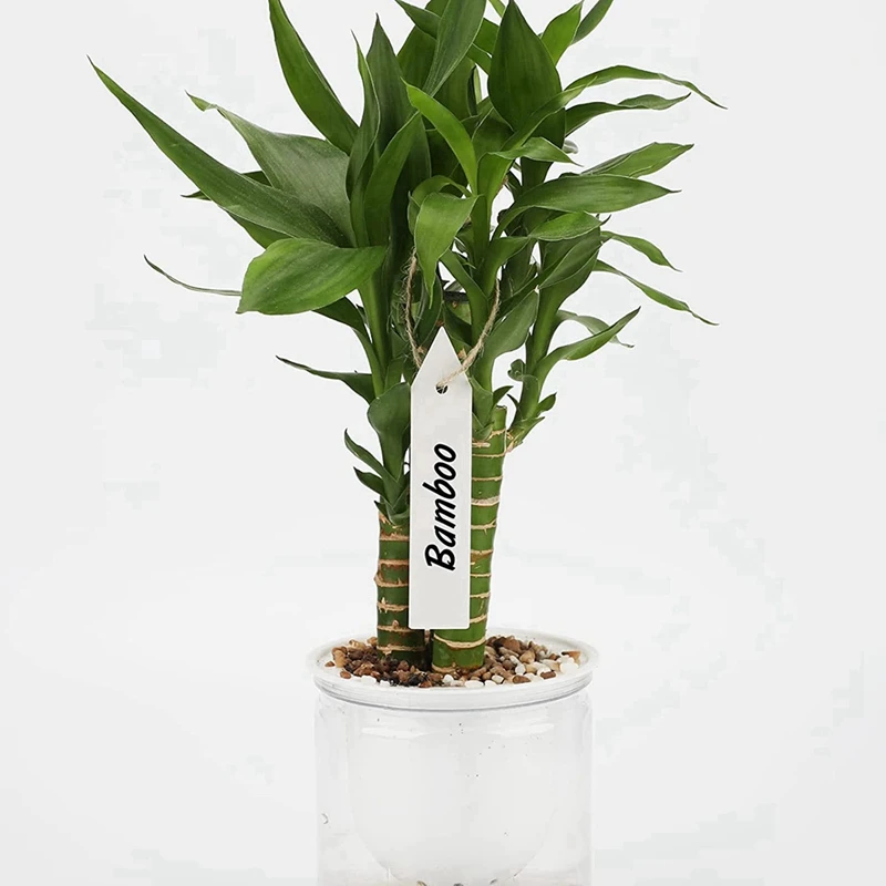 200 buah label taman pembibitan tanaman plastik tag pasak taman putih 10x2cm