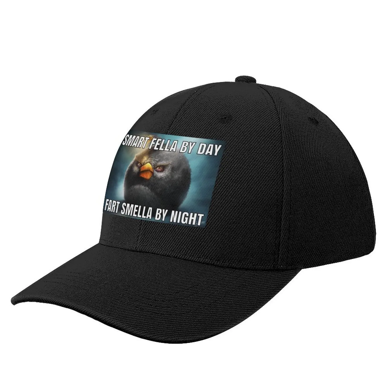 smart fella by day fart smella by night Baseball Cap Hood Big Size Hat Women's Hats 2024 Men's