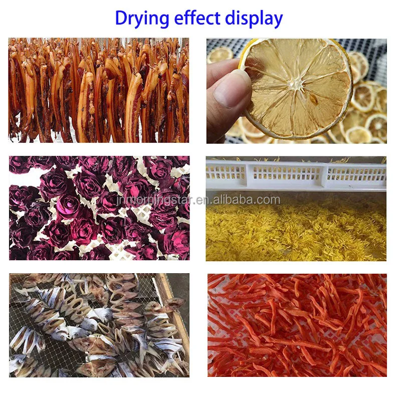 Przemysłowa profesjonalna suszarka do maszyna do suszenia sublimacyjnego warzyw owocowych cytrynowych odwadniacz suszarki do ryb