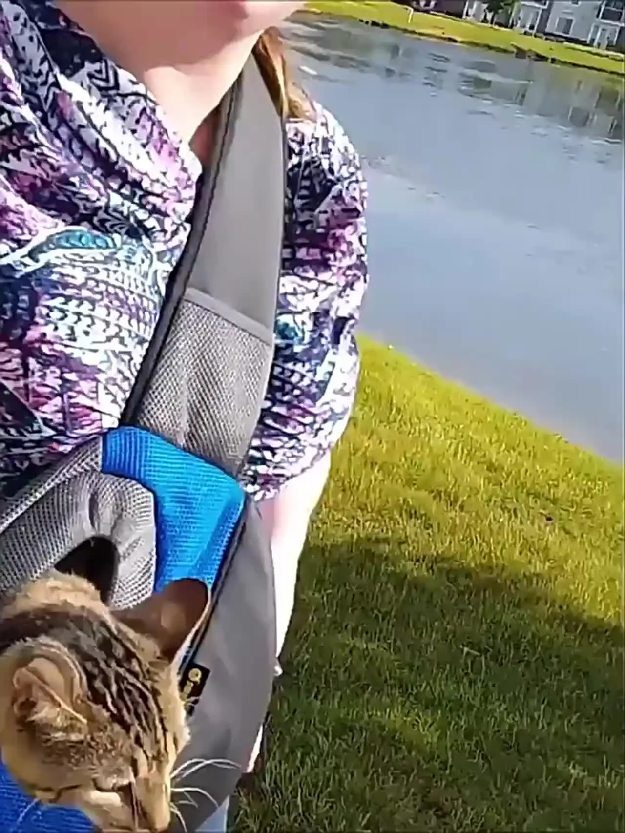 Zaino Trasportino per Gatti e Cani, Borsa a Tracolla da Viaggio, Borsa a Rete per il Trasporto di Animali Domestici, Borsa a Tracolla a Spalla