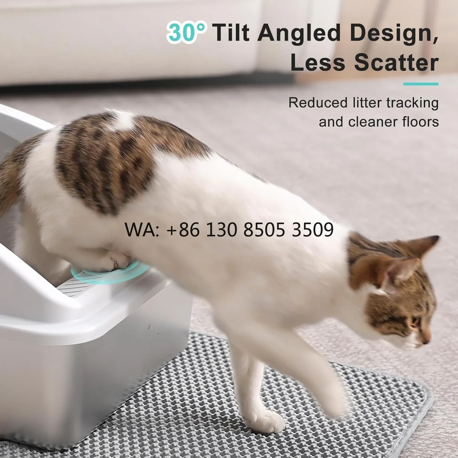 Custom High Quality Stainless Steel Cat  Box with 30° Angled  Filter Plate Design for Furry Cats Kitty  Box