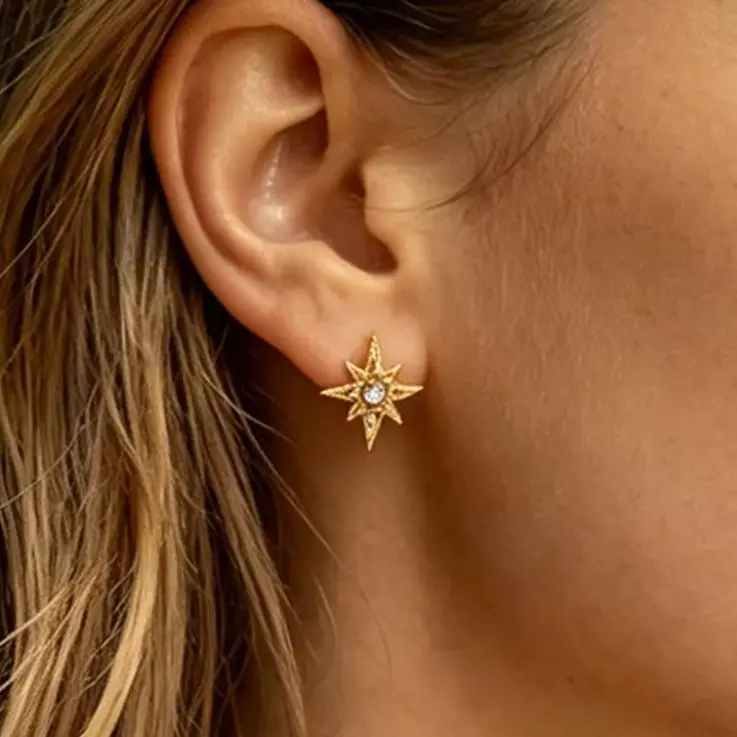 Edelstahl-Zirkon-Stern-Ohrstecker für Frauen, einfache Alltags-Ohrringe, Punk-Unisex-Rock-Schmuck