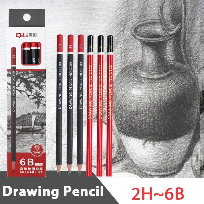 Ensemble de crayons à dessin, dureté 2H/HB/2B/4B/5B/6B, Kit de croquis en graphite pour artistes, étudiants, fournitures scolaires et de bureau, 12 pièces